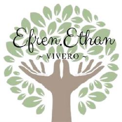 Efren.Ethan