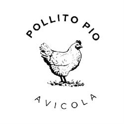 Avícola Pollito Pio