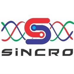 Sincro Servicios SRL