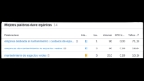 rendimiento de palbras clave