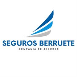 Productores y Asesores de Seguros Berruete