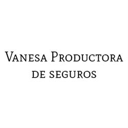 Vanesa Productora de seguros