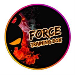 Force training box