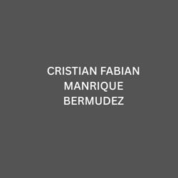 CRISTIAN FABIAN MANRIQUE BERMUDEZ