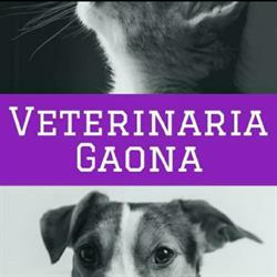 Veterinaria Gaona 1