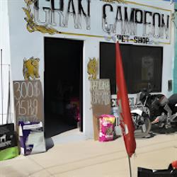 PETSHOP Y ESTETICA CANINA. GRAN CAMPEON.