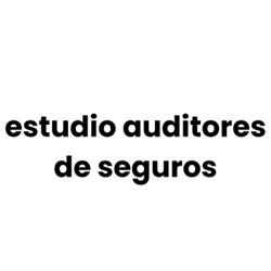 estudio auditores de seguros