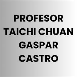 PROFESOR TAICHI CHUAN GASPAR CASTRO
