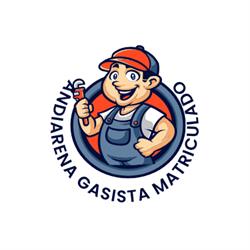 Andiarena Gasista Matriculado