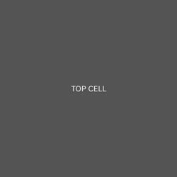 TOP CELL
