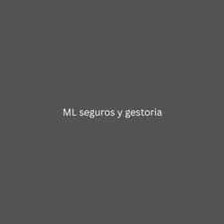 ML SEGUROS GENERALES Y GESTORIA