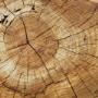 # 3