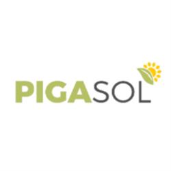 Pinto y Girones srl