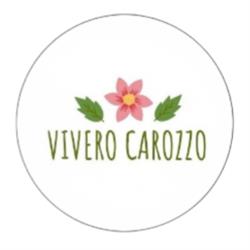 Vivero Carozzo