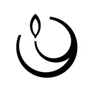 Lumine Estética Integral