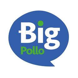 Big Pollo depósito mayorista.