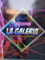 Centro De Copiado y Grafica ( LA GALERIA)