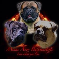 Minas Anor Kennel