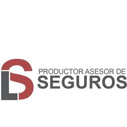 Organización LS Asesores De Seguros