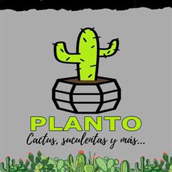PLANTO Macetas & Cactus