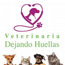 Veterinaria Dejando Huellas