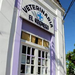 Veterinaria El Regreso