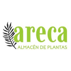 VIVERO ARECA