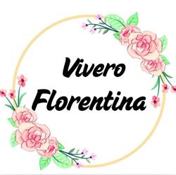 Vivero Florentina