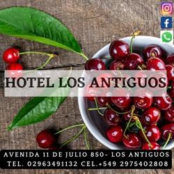 Hotel Los Antiguos