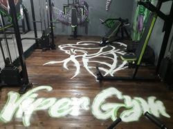 Viper gym