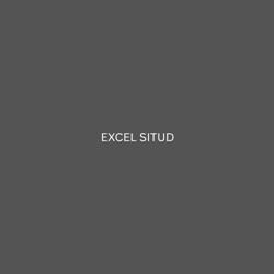 EXCEL SITUD