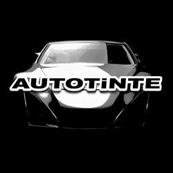 AUTOTiNTE Polarizados Antivandálicos