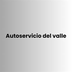 Autoservicio del valle
