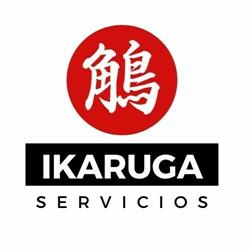 Ikaruga Servicios
