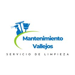 Mantenimiento Vallejos