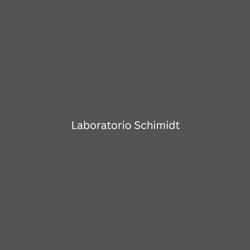 Laboratorio Schimidt