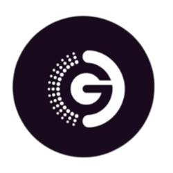 Gozzer Group