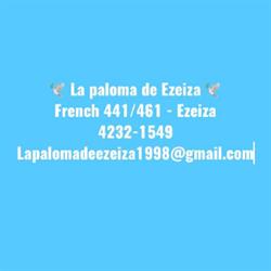 "La Paloma ️ de Ezeiza"
