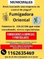 VENTAS DE PRODUCTOS