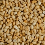Maníes