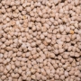 Garbanzos