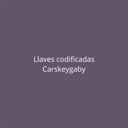 Llaves codificadas Carskeygaby
