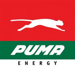 puma energy - GAS LONGCHAMPS S A