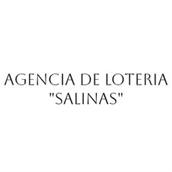 Agencia de Loteria "Salinas"