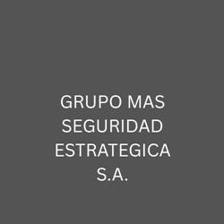 GRUPO MAS SEGURIDAD ESTRATEGICA S.A.