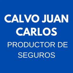 CALVO JUAN CARLOS, PRODUCTOR DE SEGUROS