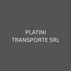 PLATINI TRANSPORTE SRL