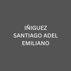 IÑIGUEZ SANTIAGO ADEL EMILIANO