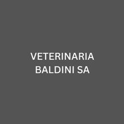 VETERINARIA BALDINI SA