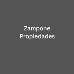INMOBILIARIA SANTIAGO ZAMPONE